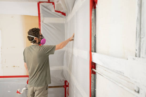 Best Mold Prevention Services  in Rhome, TX