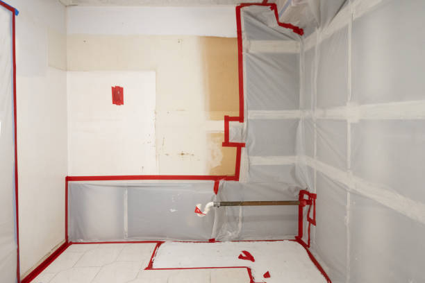 Trusted Rhome, TX Mold Removal Experts